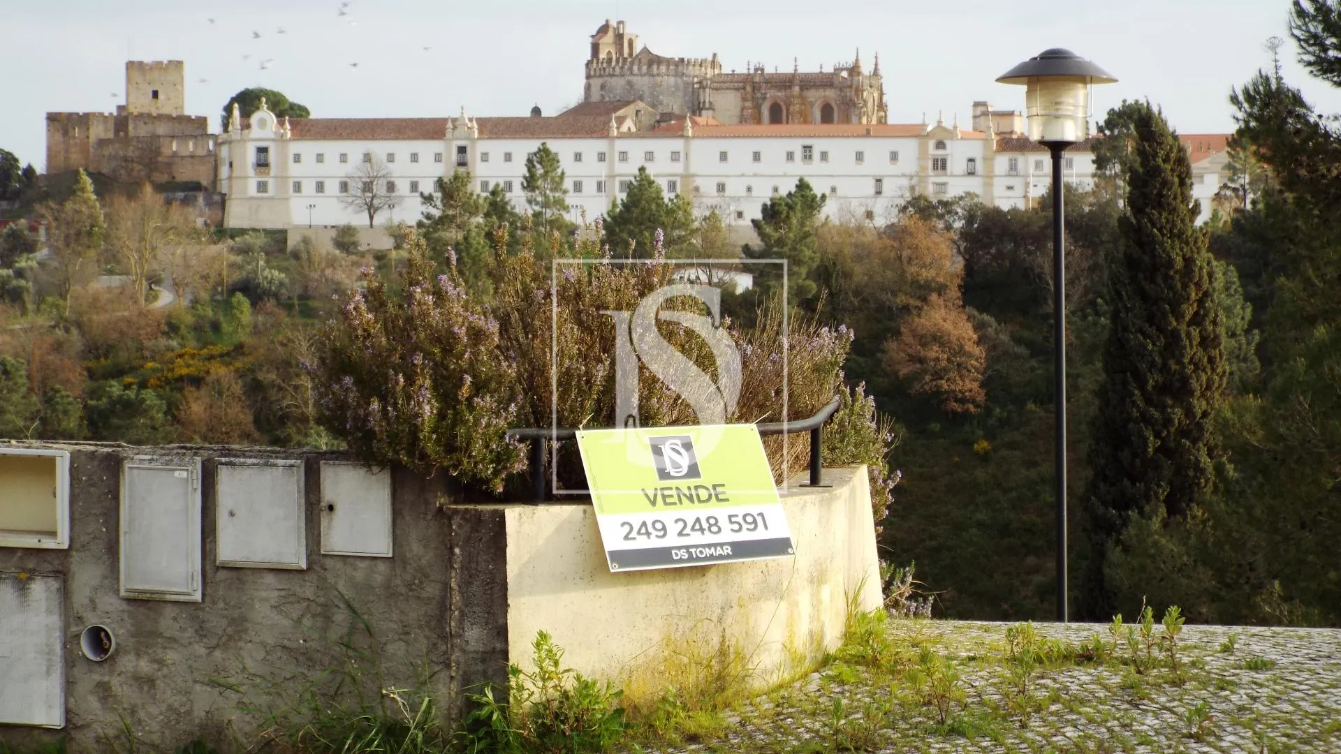 Terreno