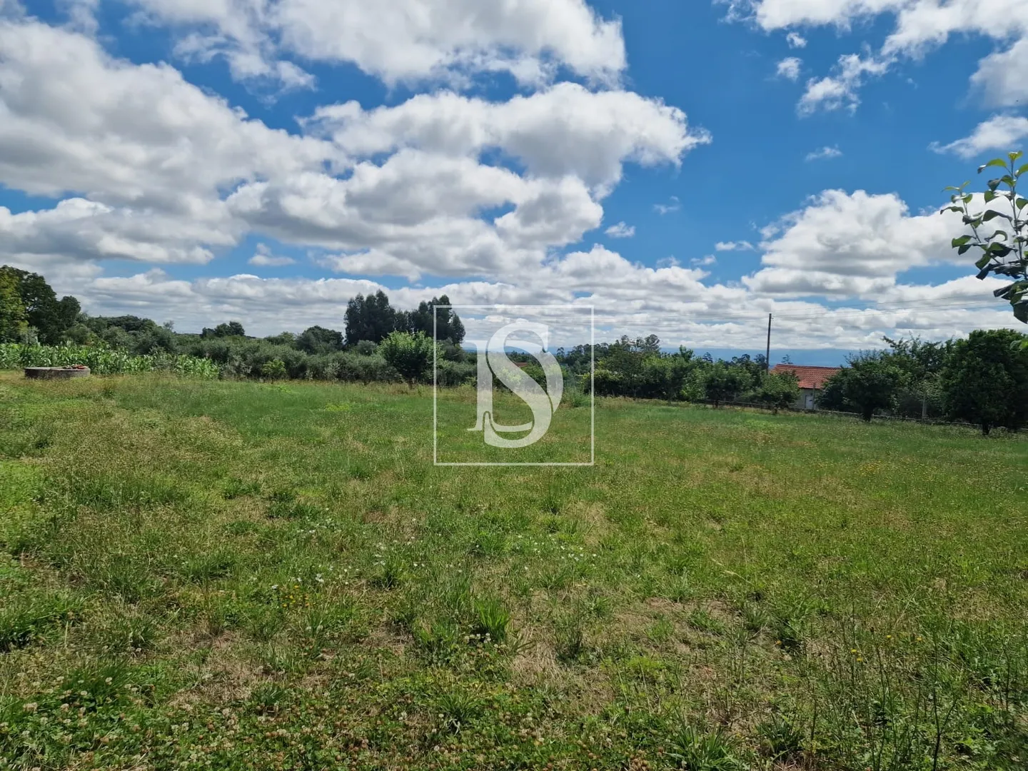 Real estate land
