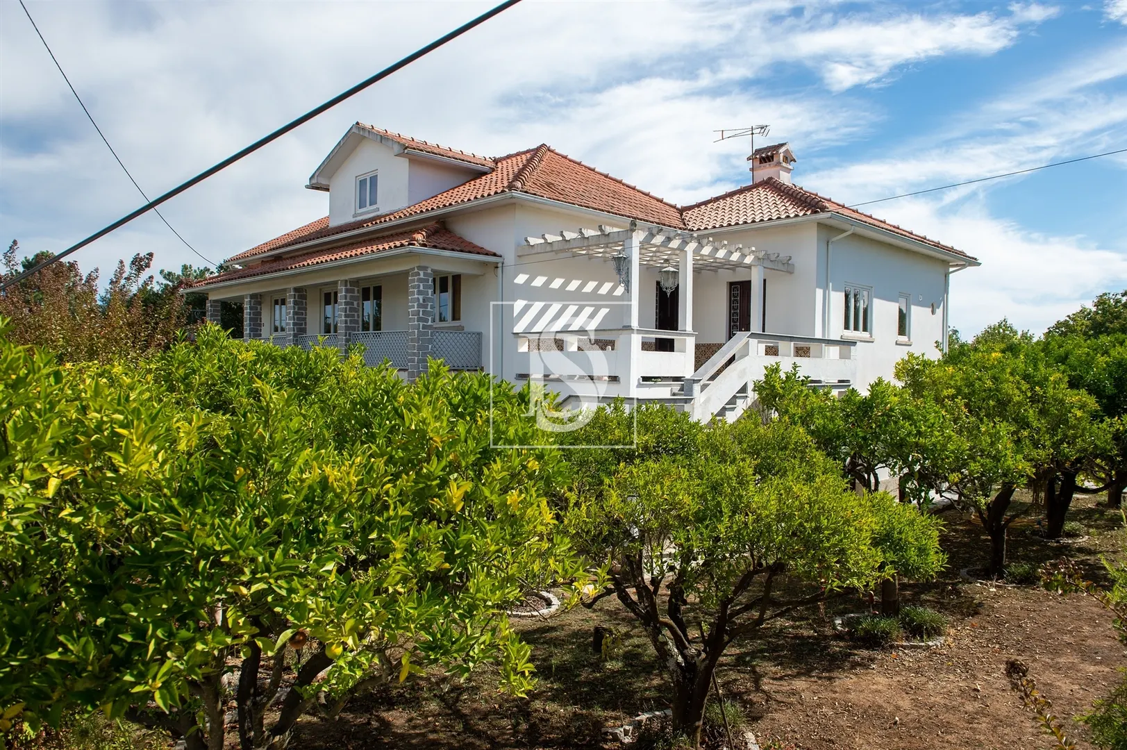 Quinta T6