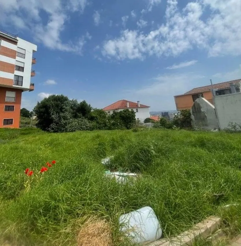 Terreno