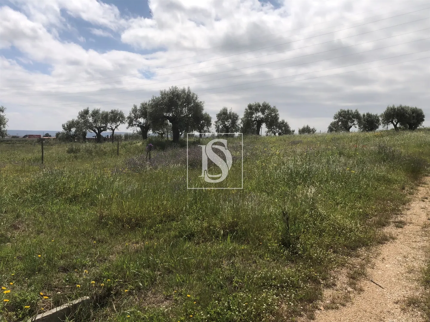 Terreno Para Construção