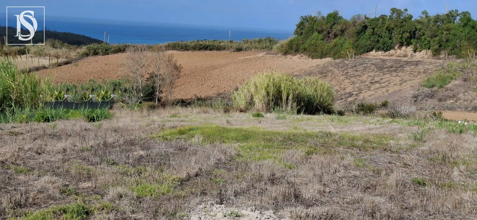 TERRENO URBANO COM VISTA MAR | ATALAIA, LOURINHÃ
