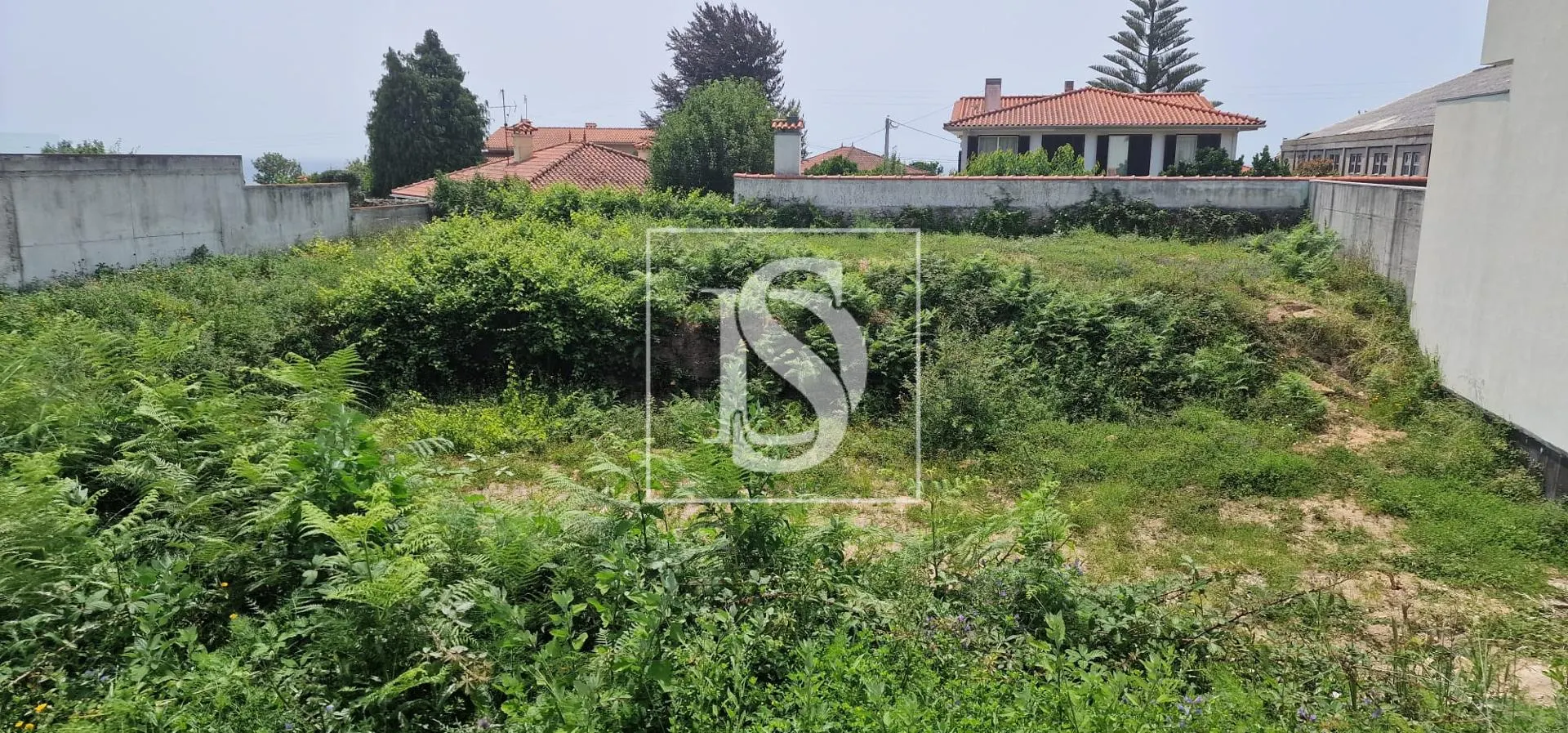 Terreno
