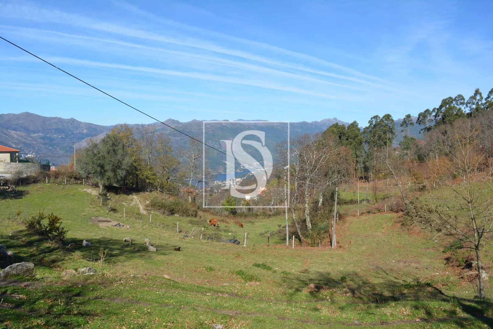 Terreno