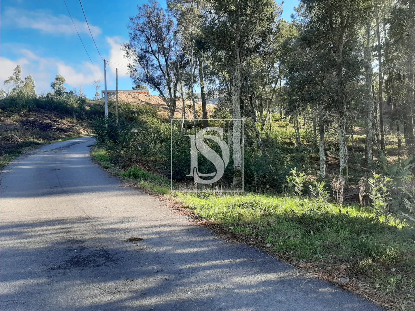 Terreno