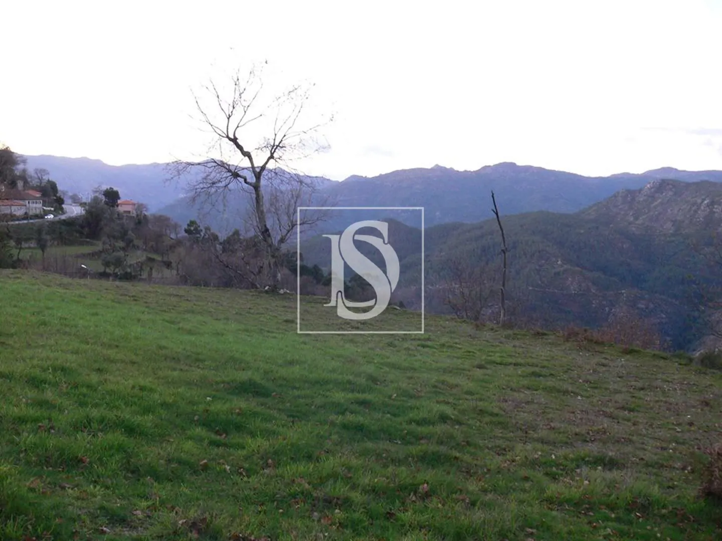 Terreno