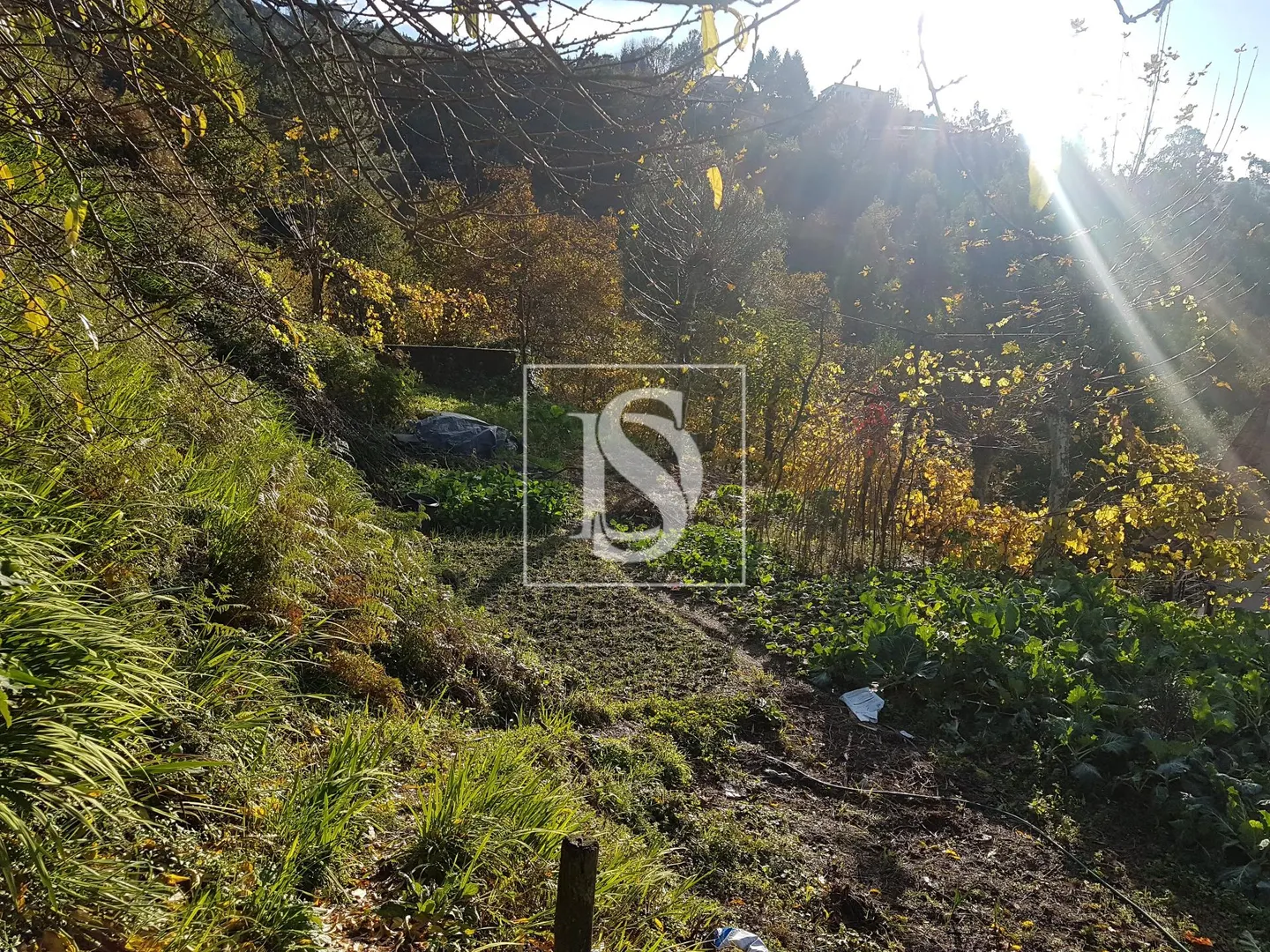 Terreno
