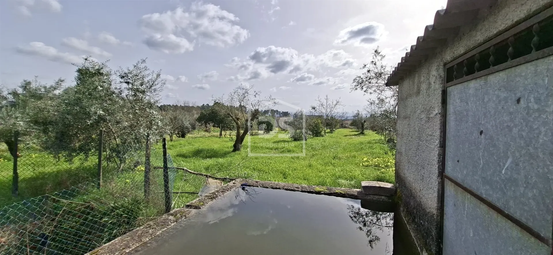 Terreno urbanizável em Carregal do Sal 