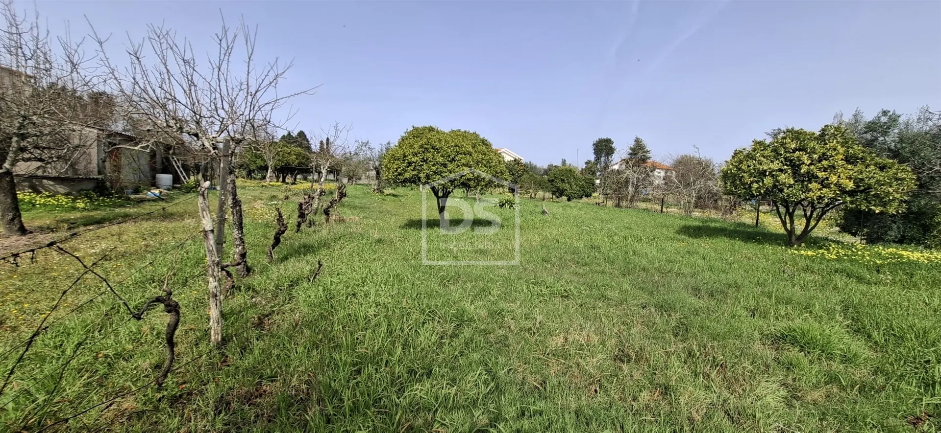 Terreno urbanizável em Carregal do Sal 