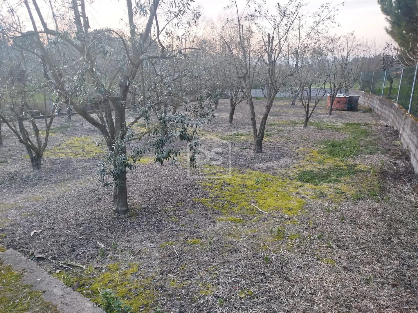 Terreno misto em Carregal do Sal por 75.000€
