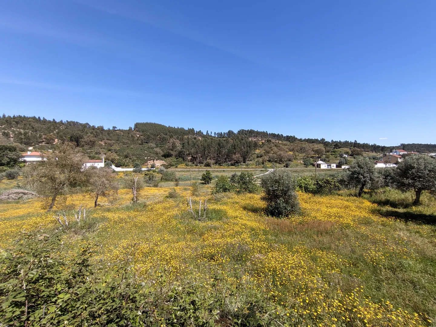 Moradia Devoluta