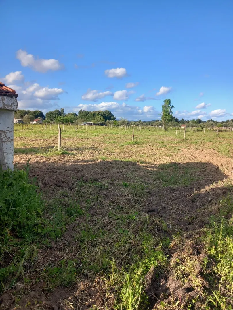 Terreno