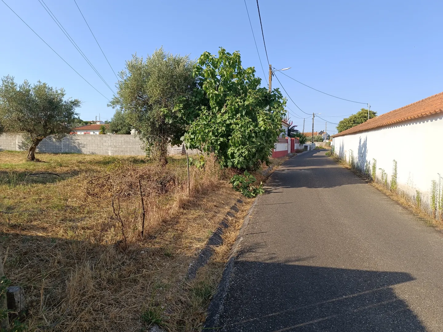 Terreno