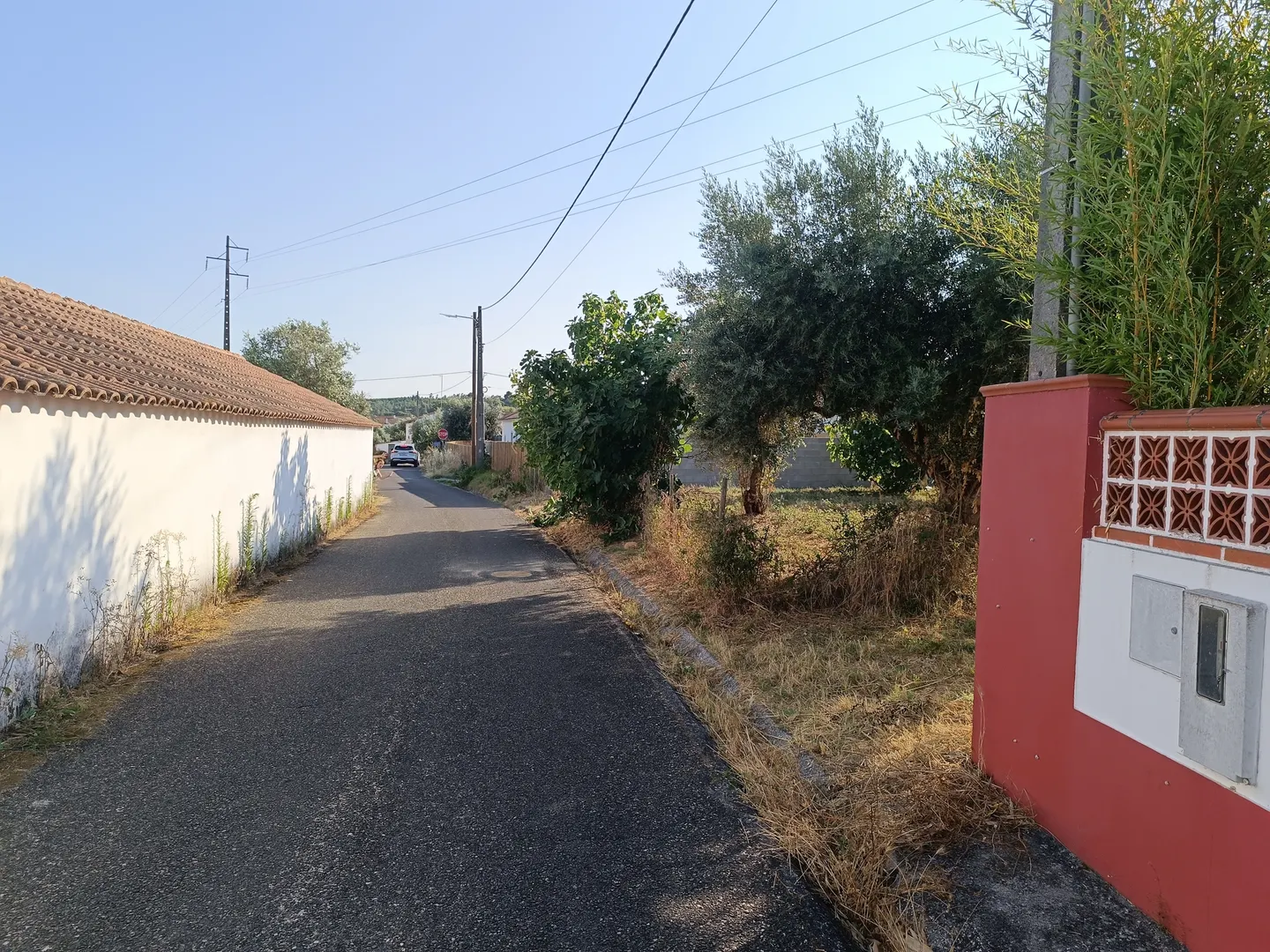 Terreno