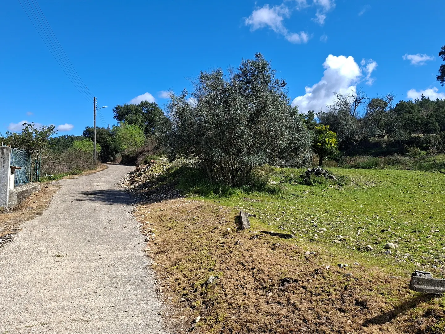 Quinta T5