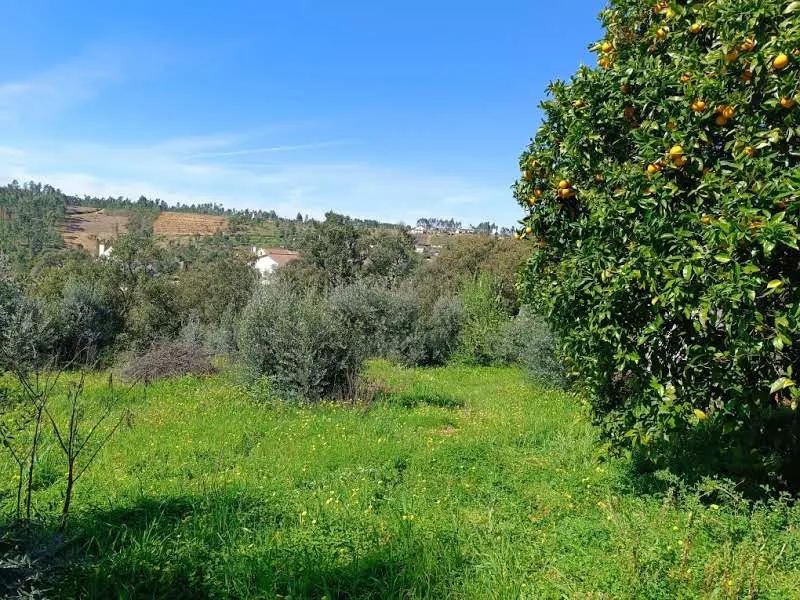 Moradia para Restaurar T3