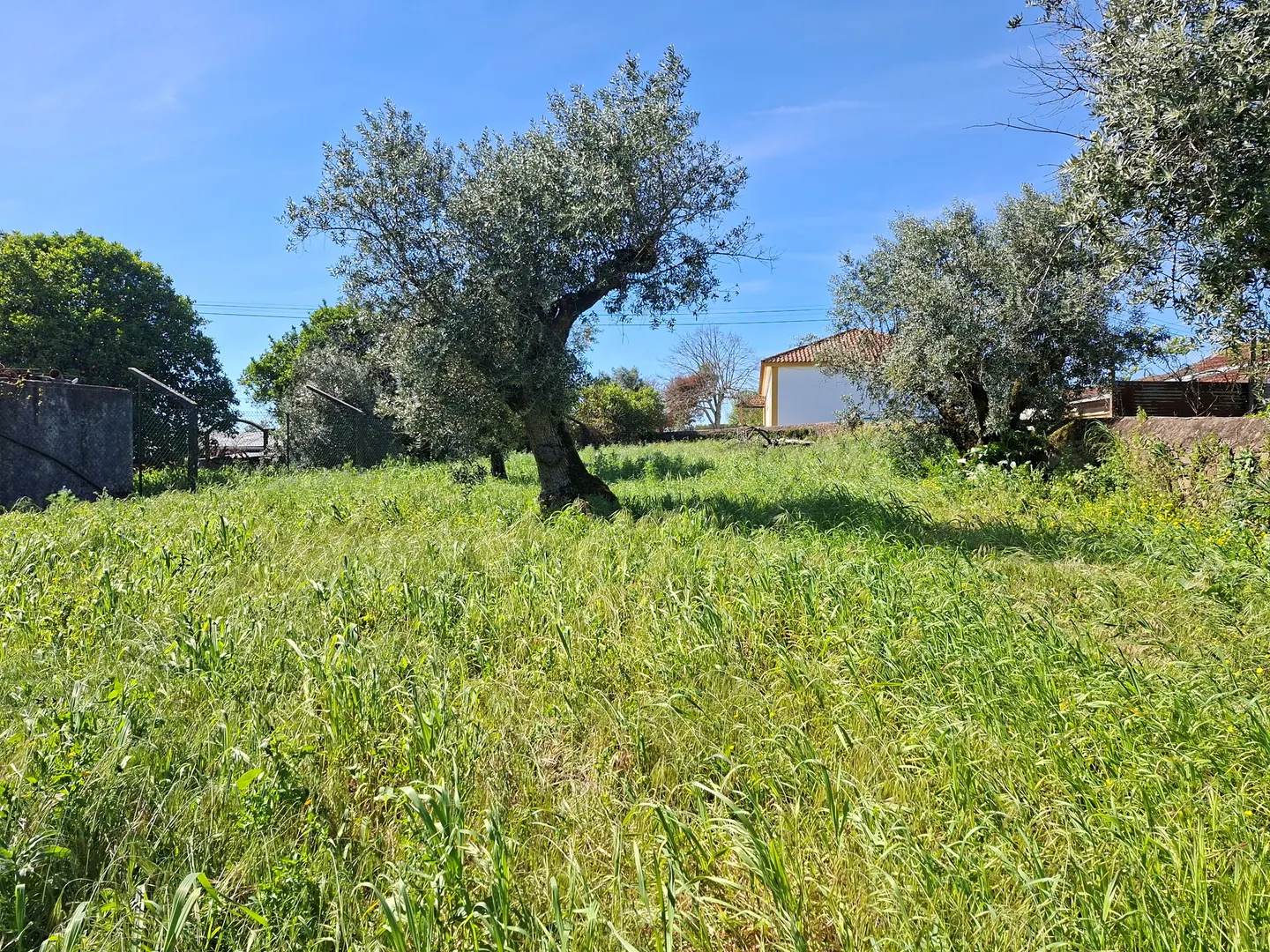 Real estate land
