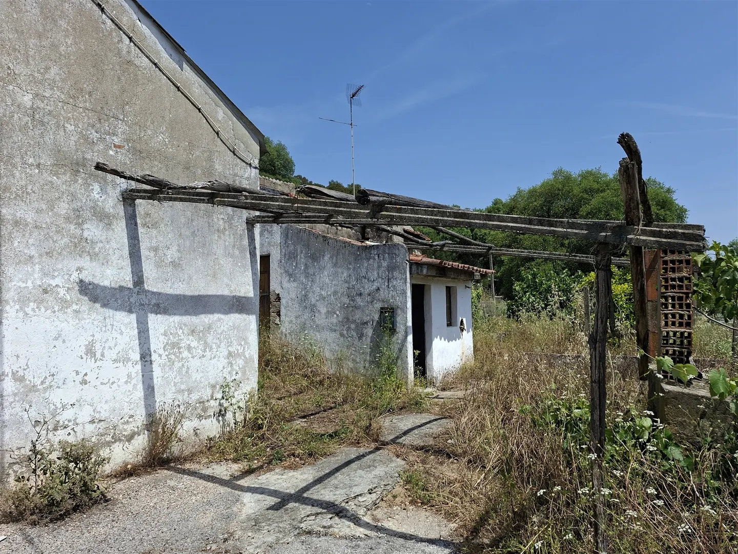 Propriedade Única com 2 Casas para Recuperação e Terreno de 2,6 Hectares