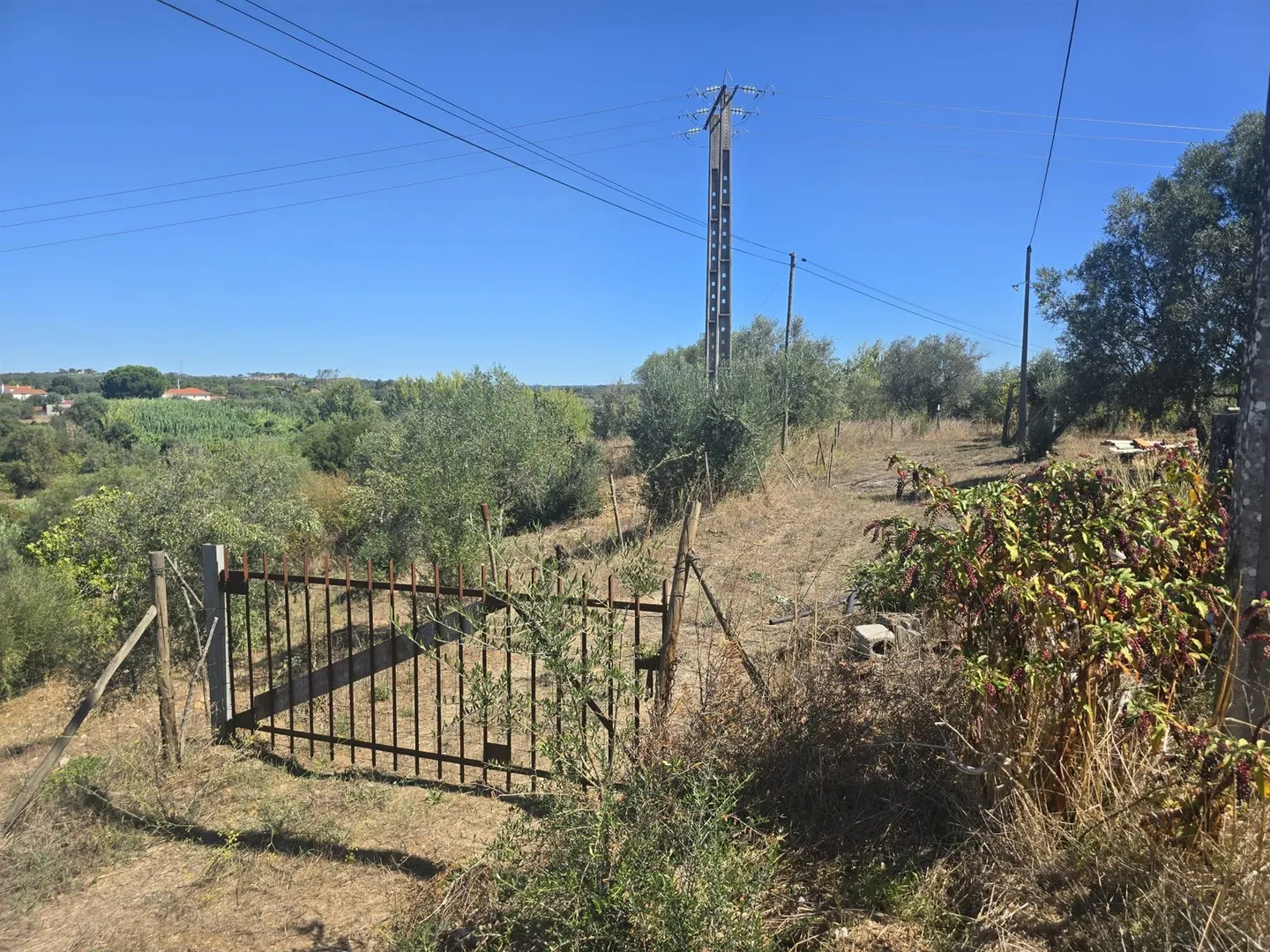 Terreno com Possibilidade de Construção - Alferrarede Velha - Abrantes