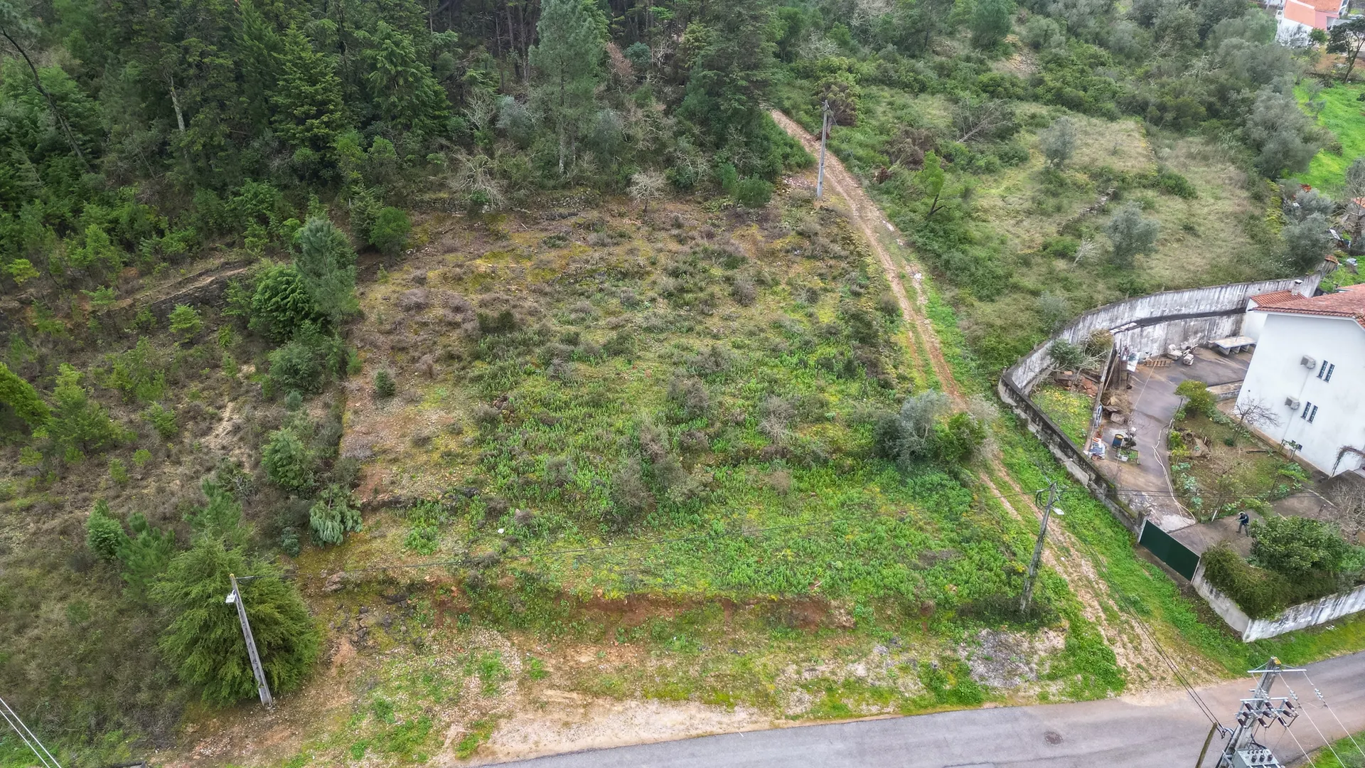 Terreno