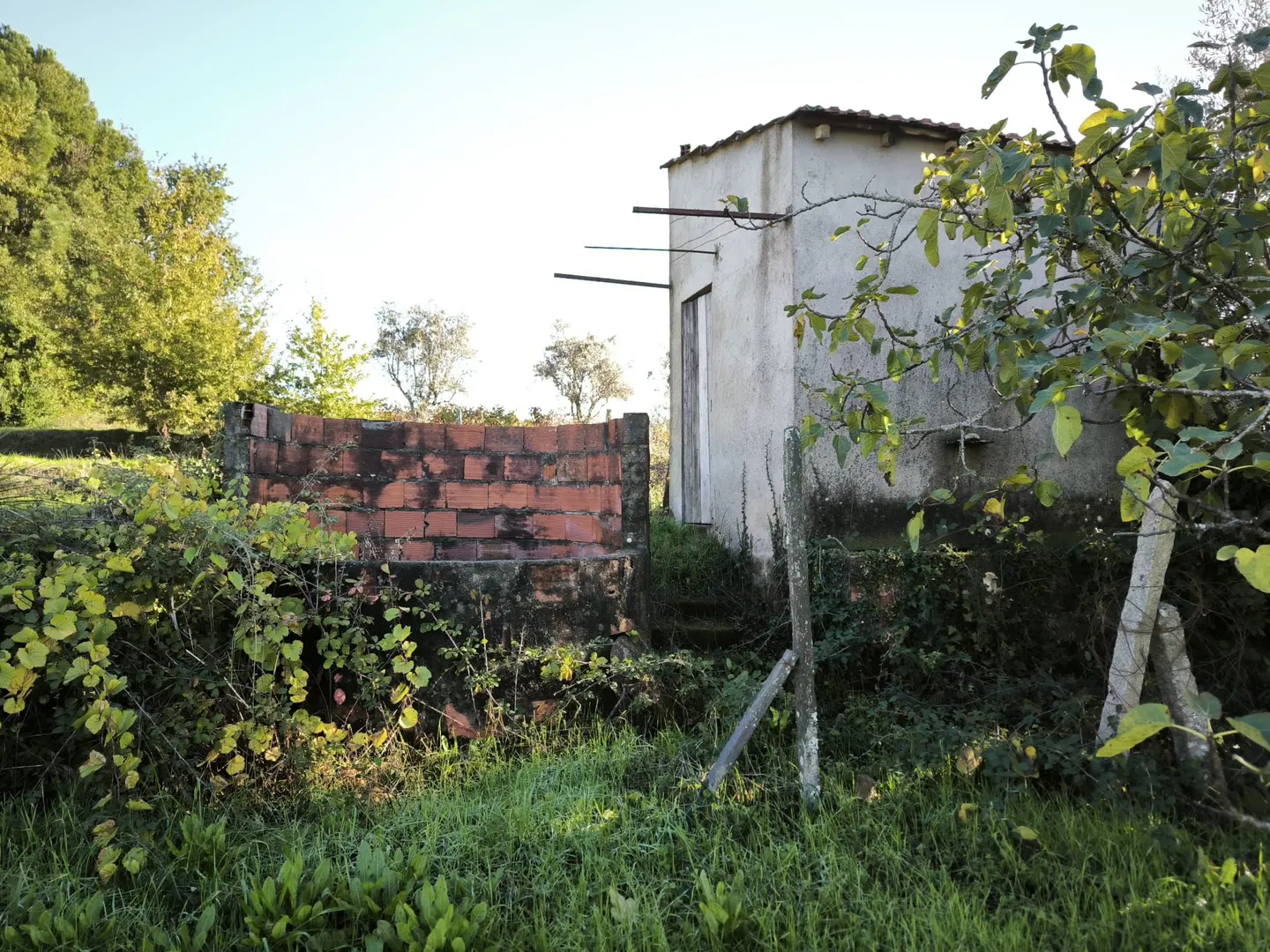 Terreno
