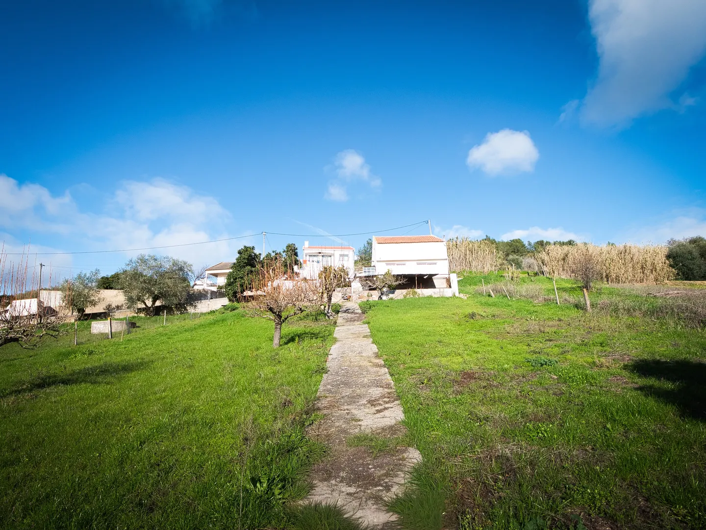 Terreno