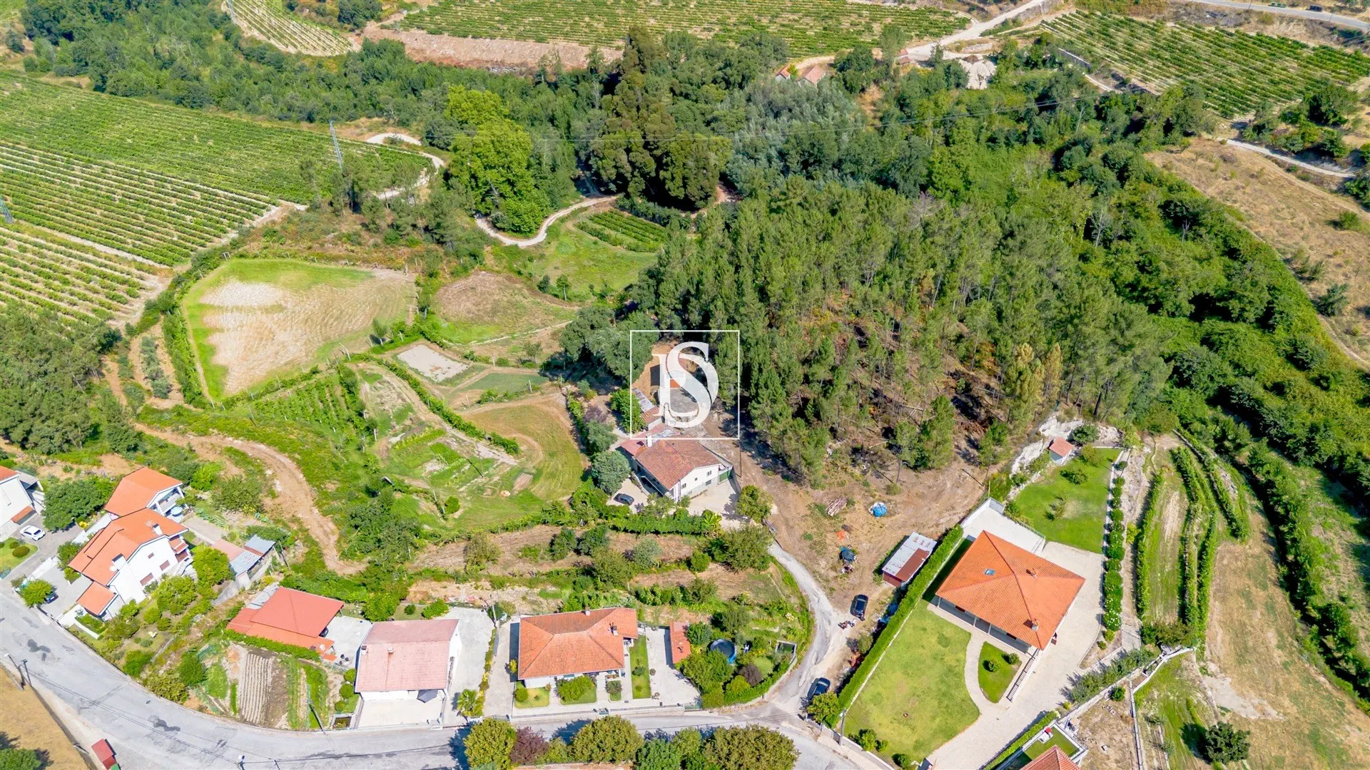 Quinta T4