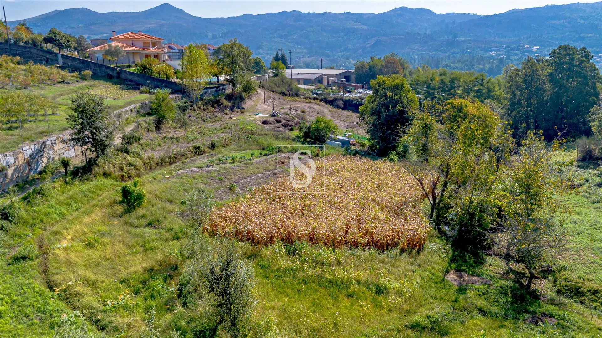 Terreno