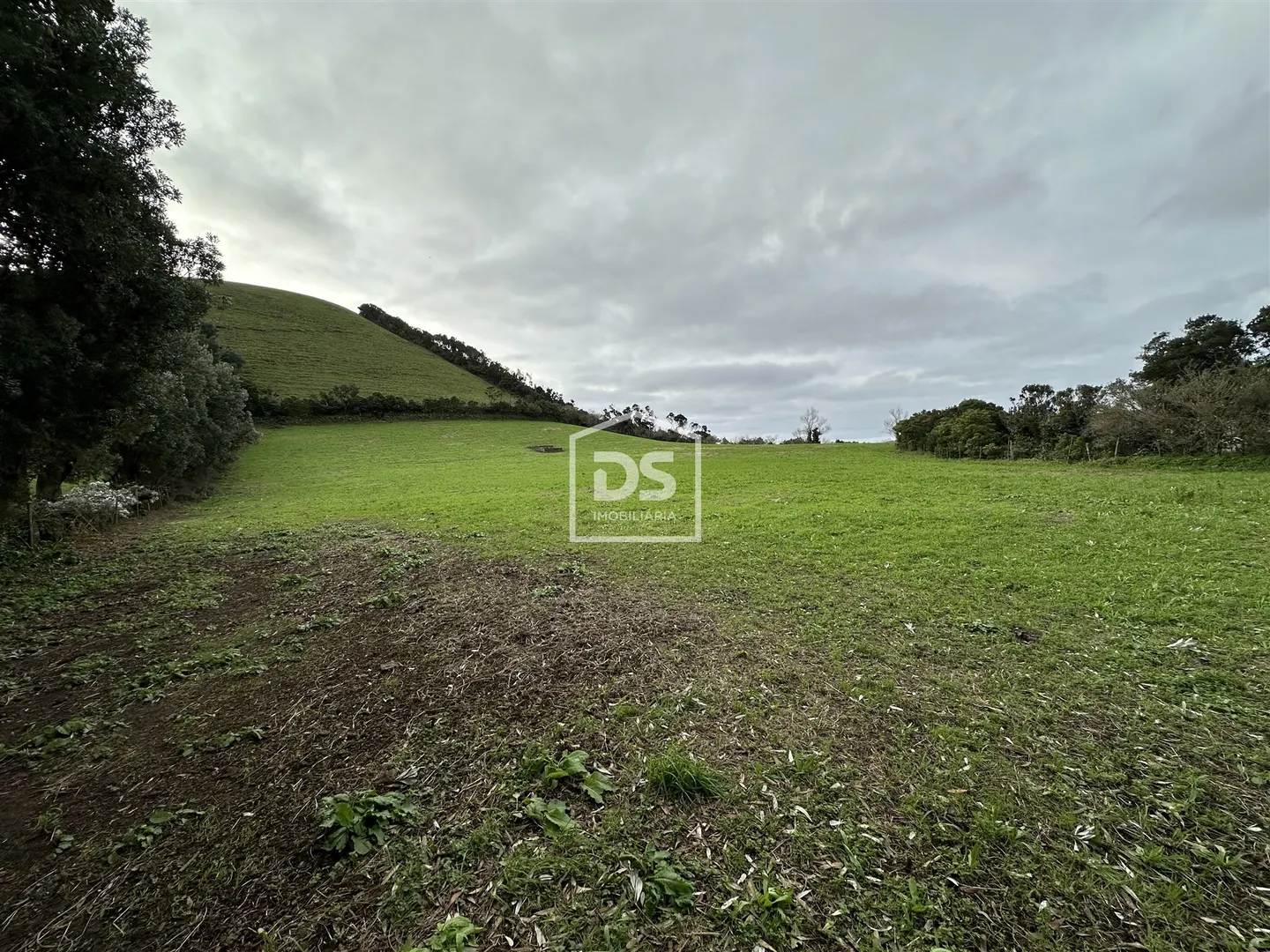 Terreno Rústico