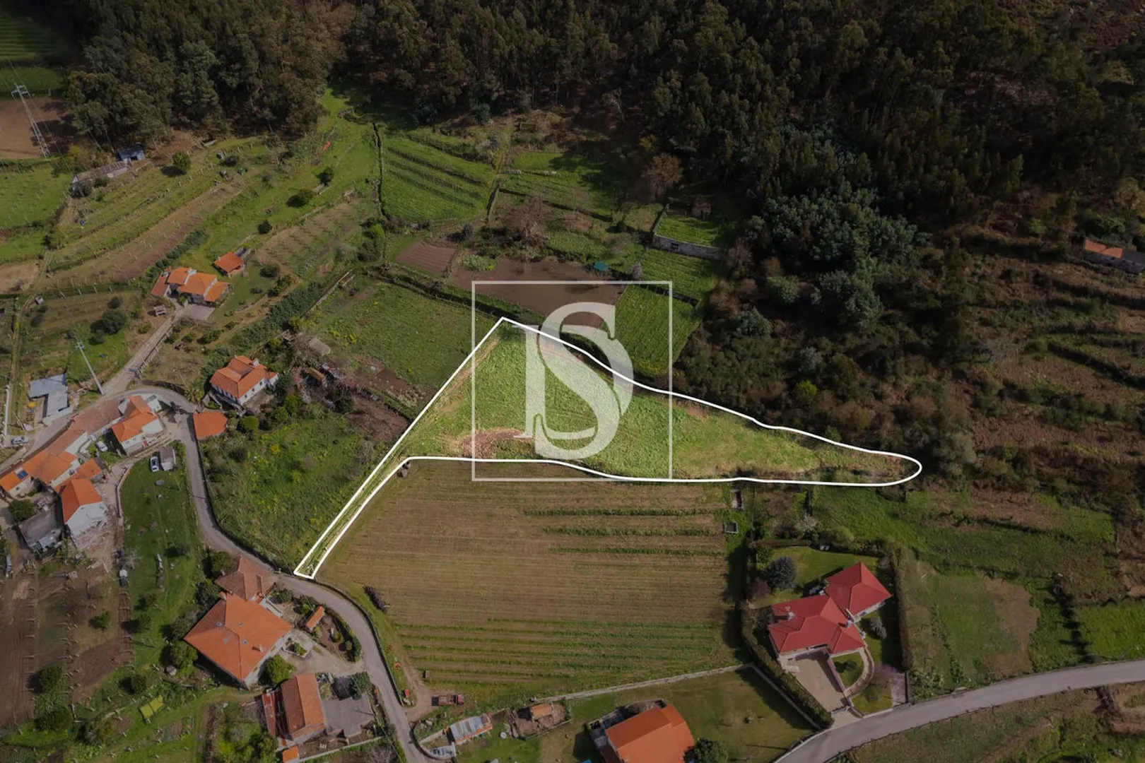 Terreno