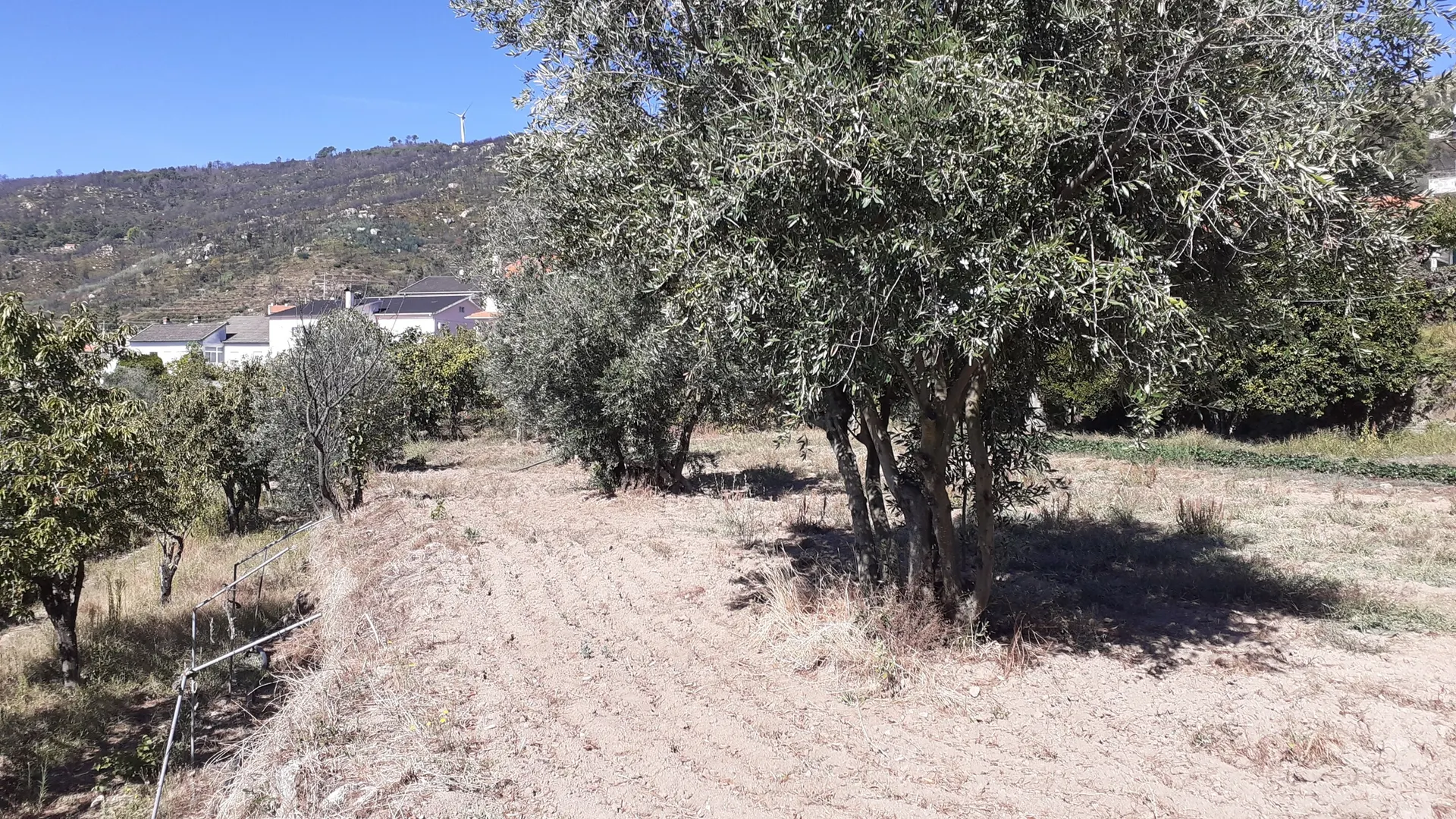 Terreno
