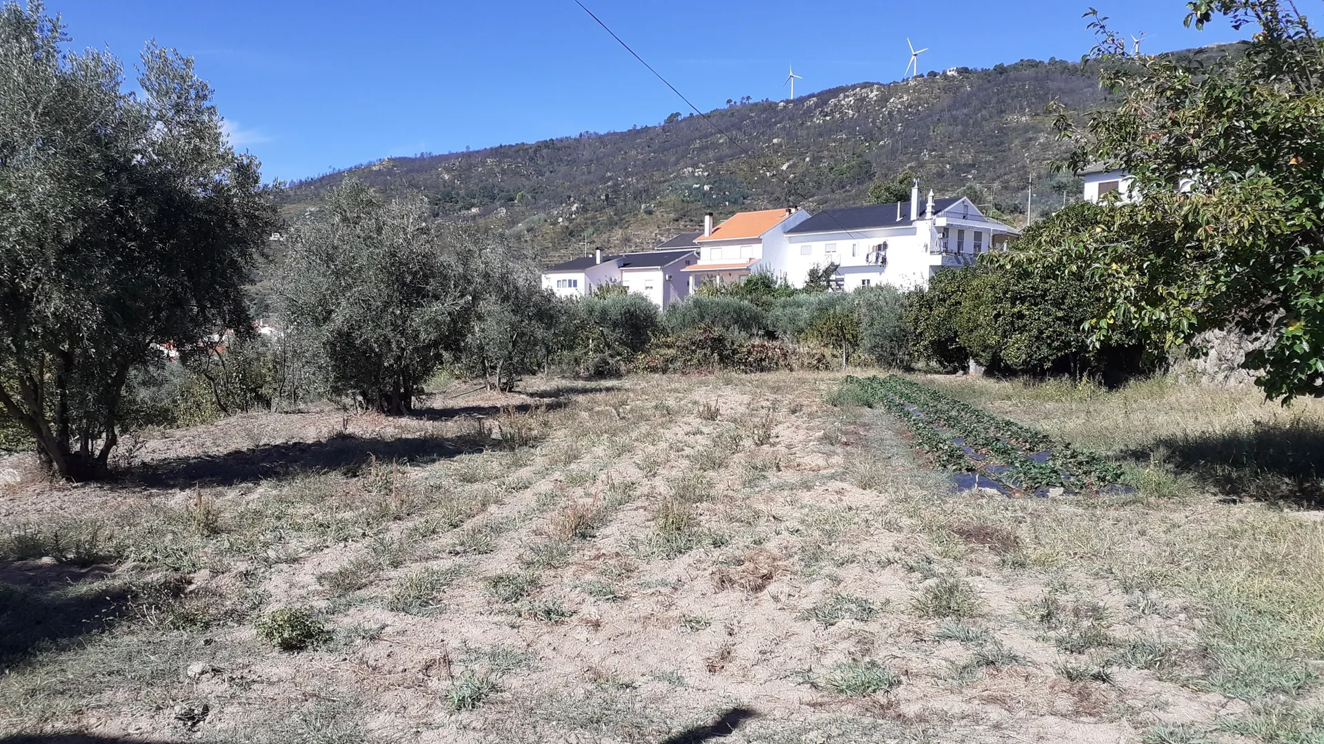 Terreno