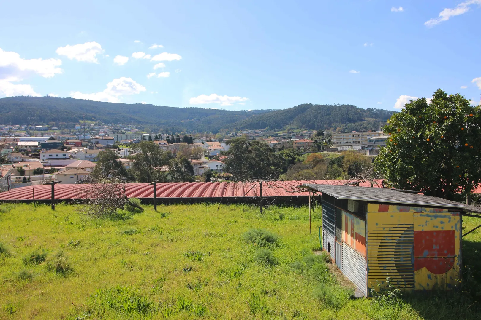 Terreno