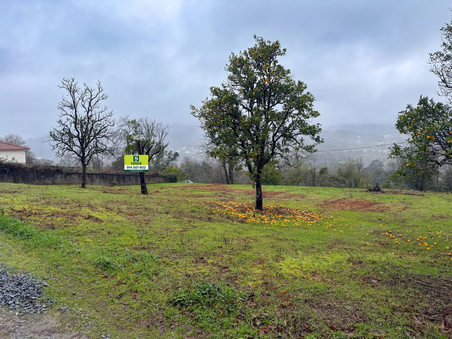 Terreno