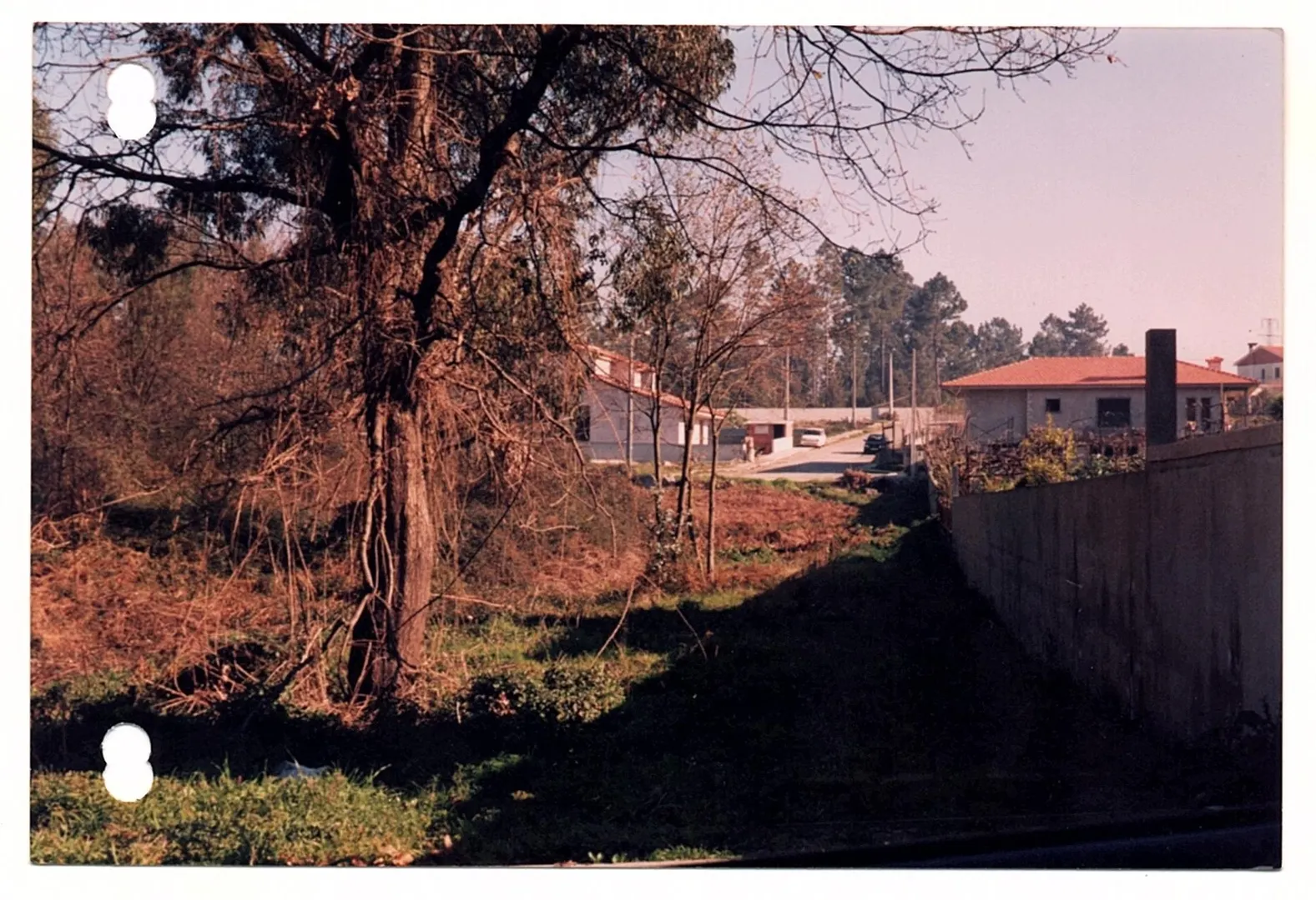 Terreno