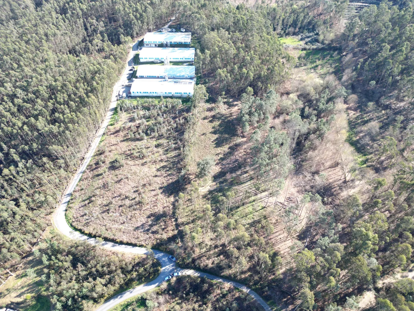 Terreno