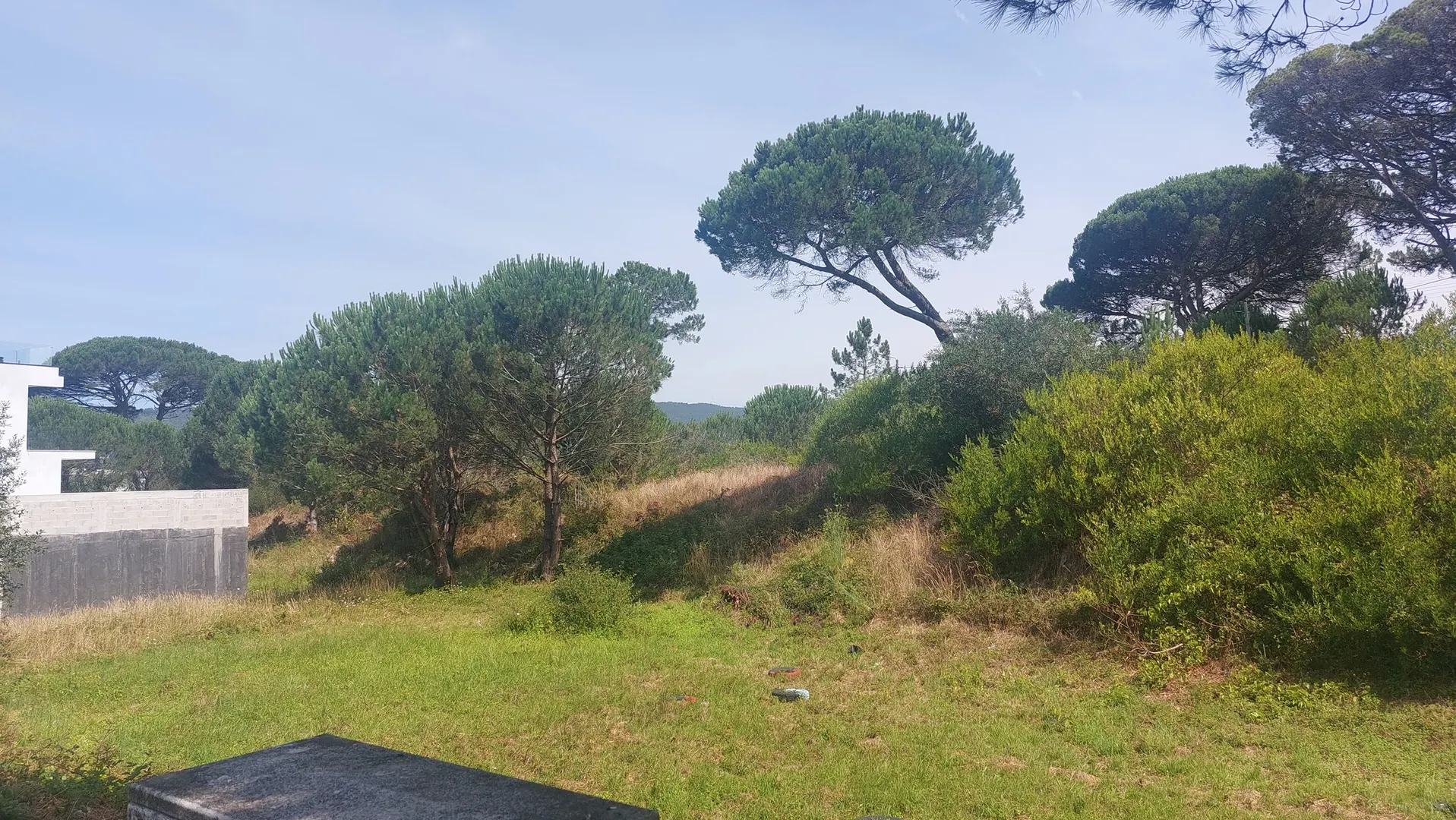 Terreno