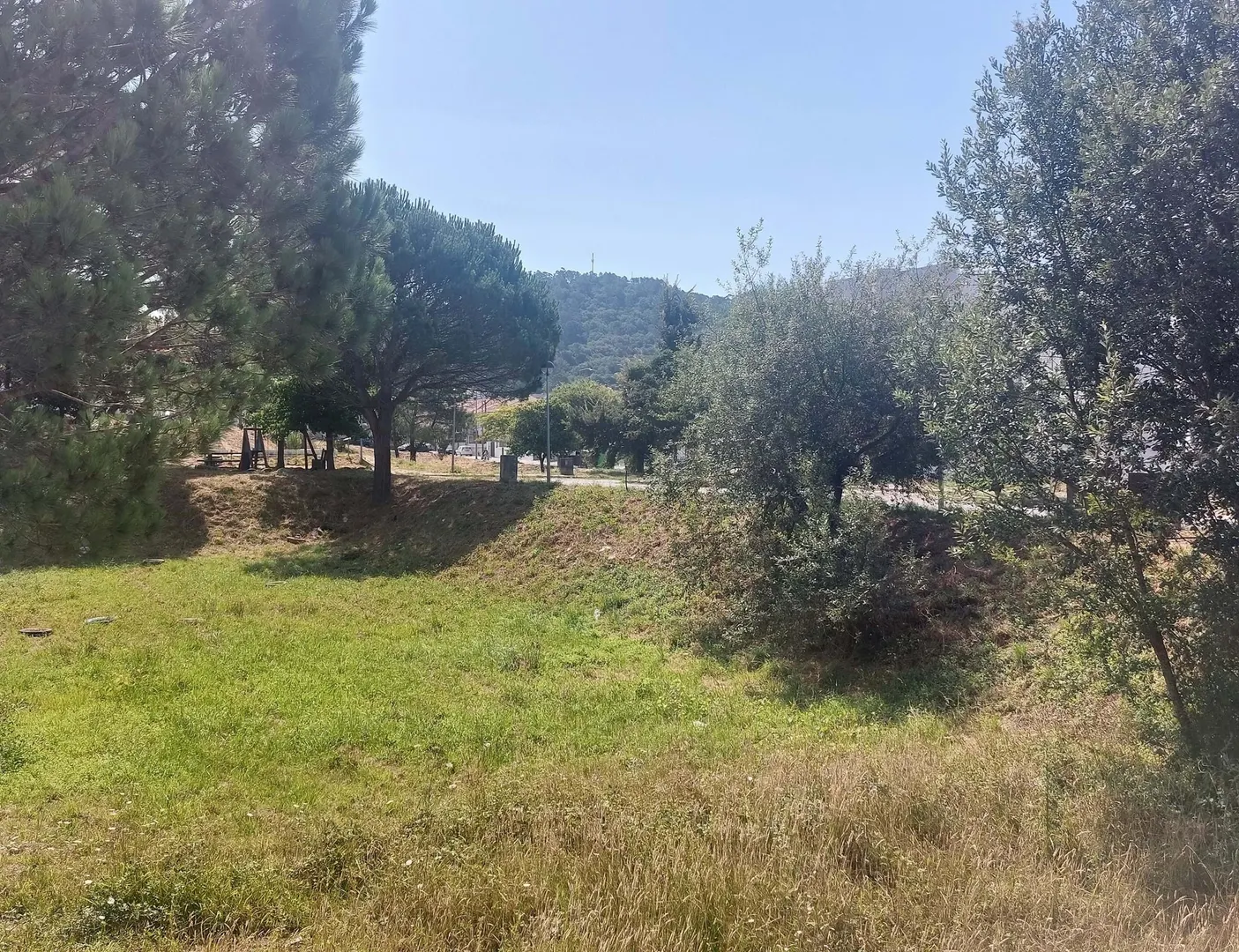 Terreno