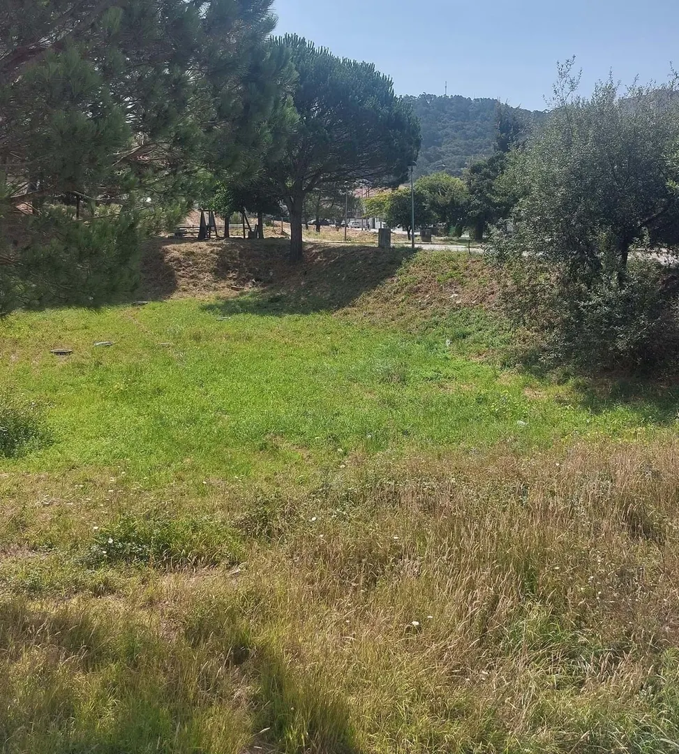 Terreno