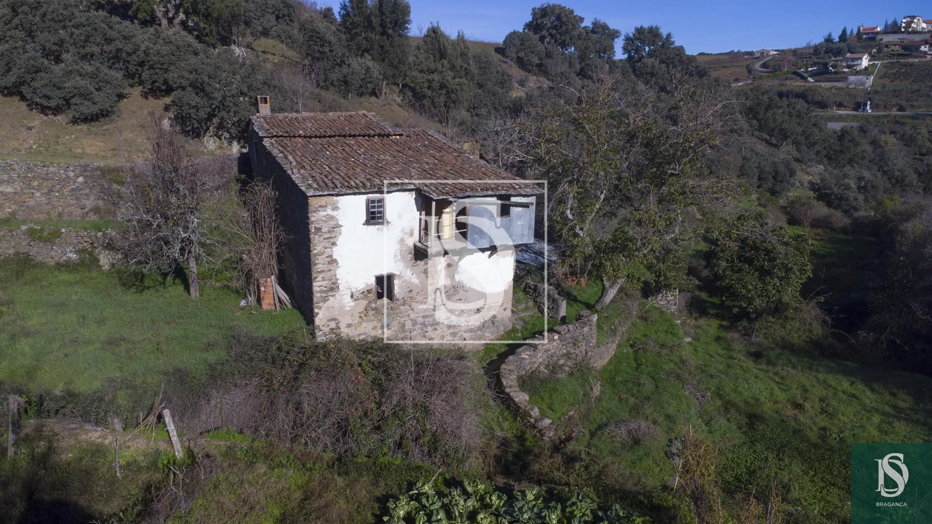 Quinta