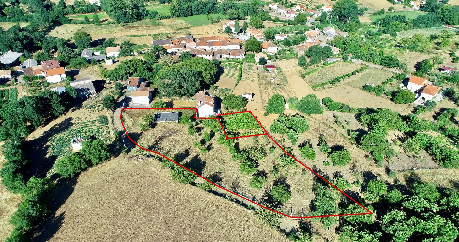 Terreno