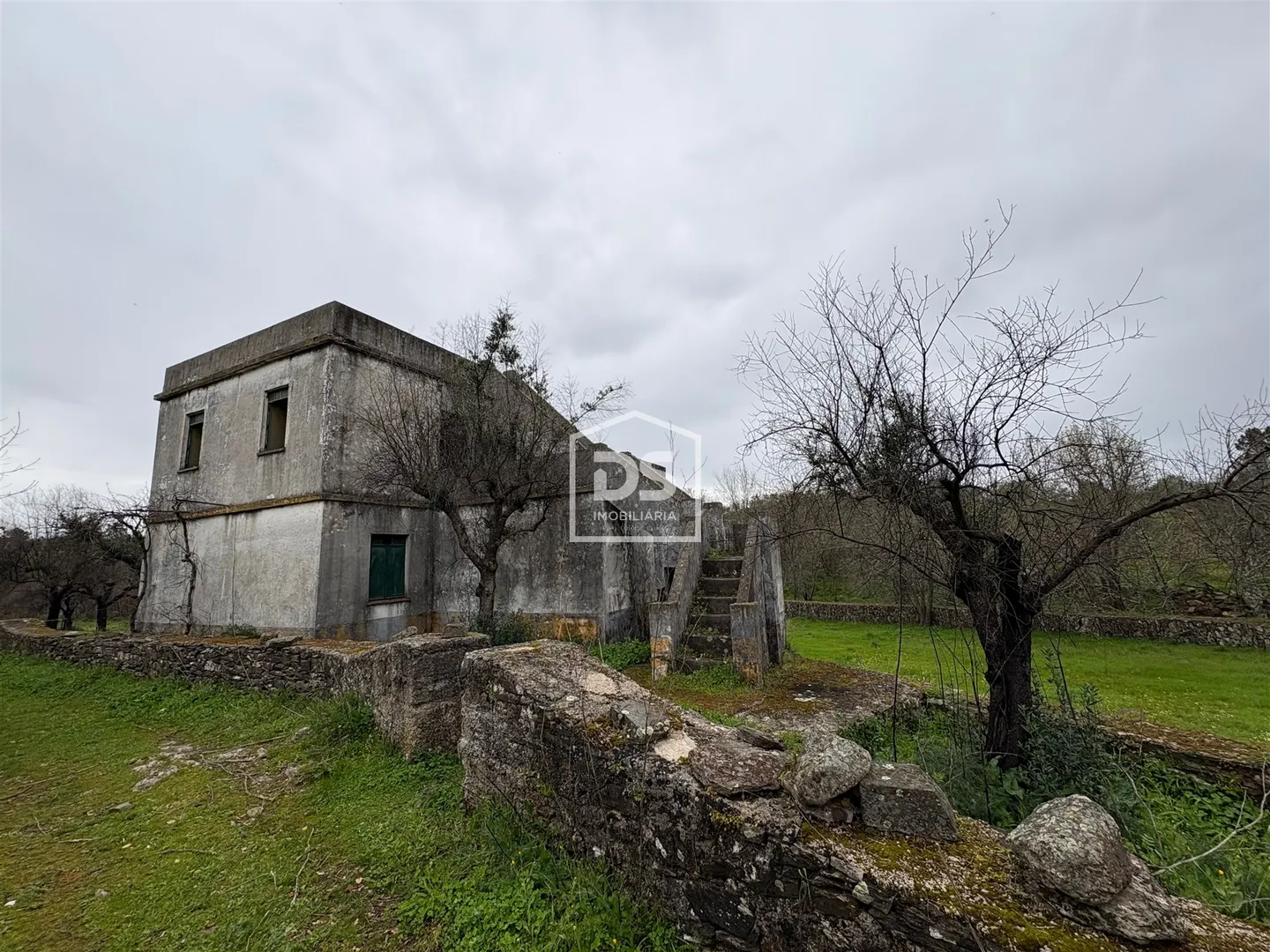 Mixed Real Estate T1