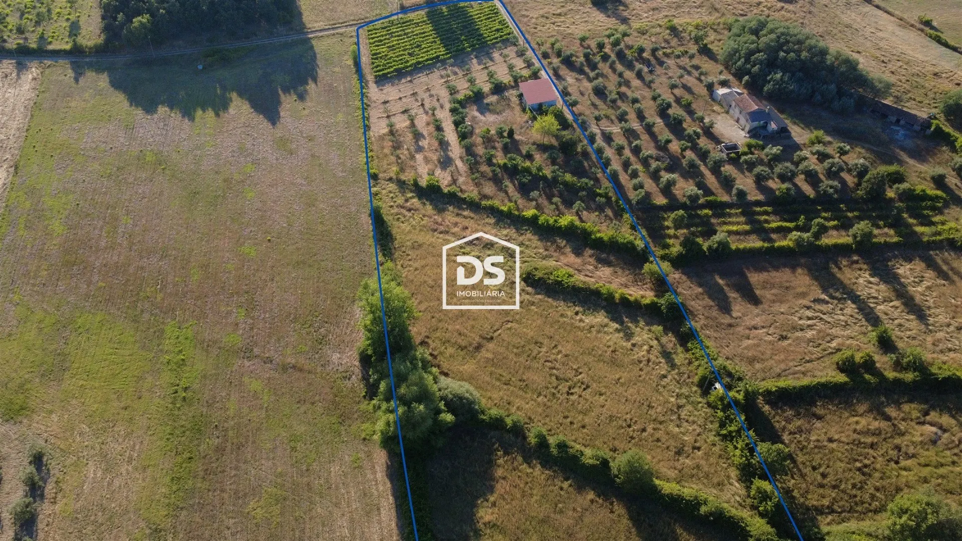 Farm