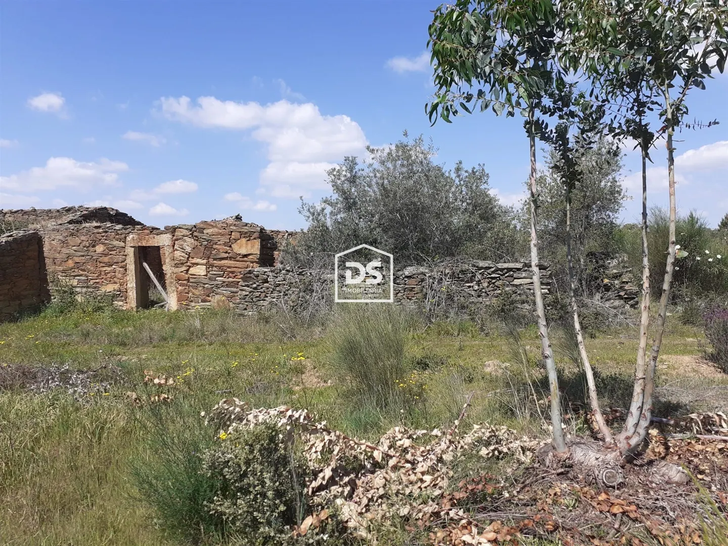 Terreno Misto