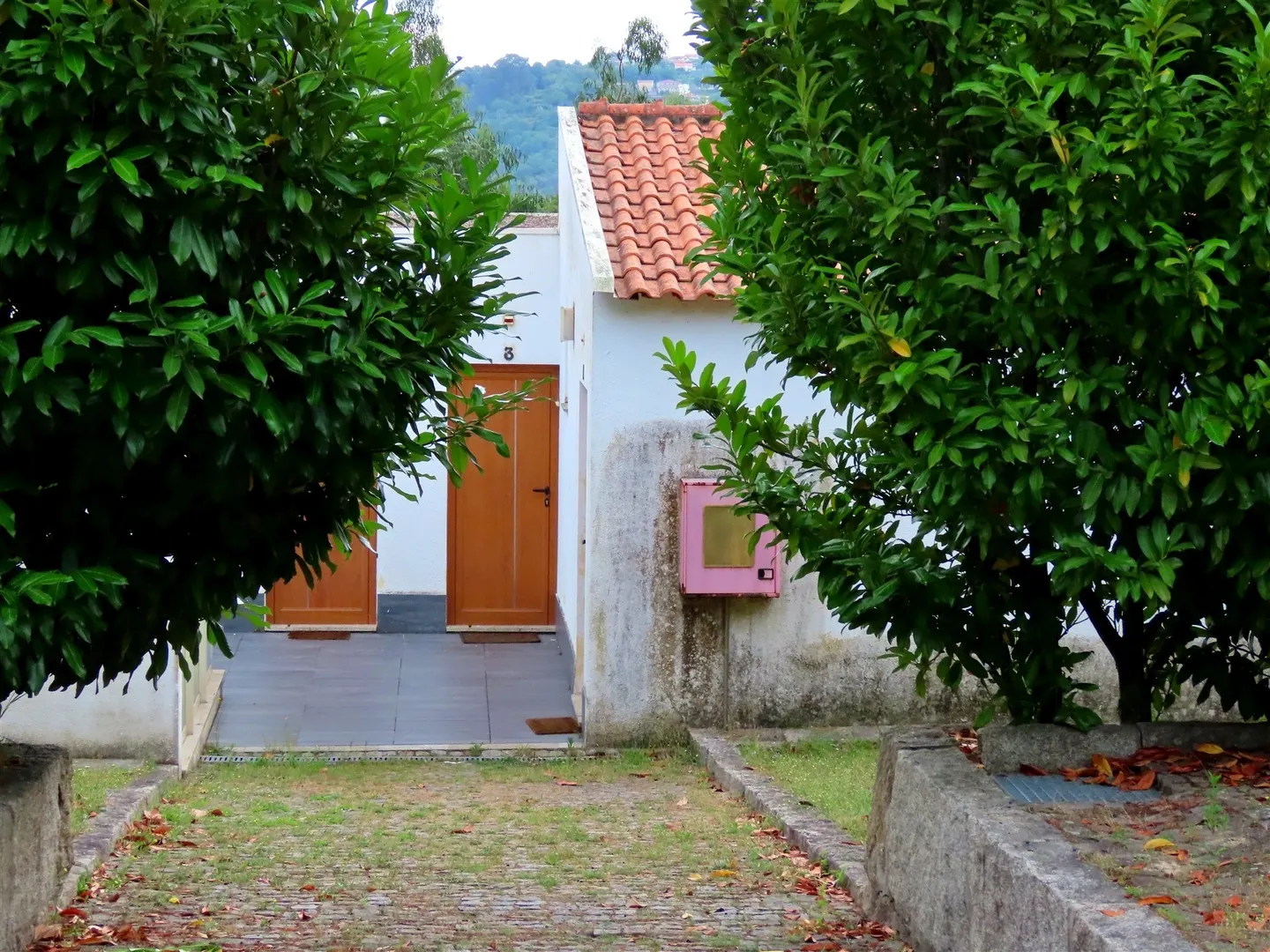 Quinta