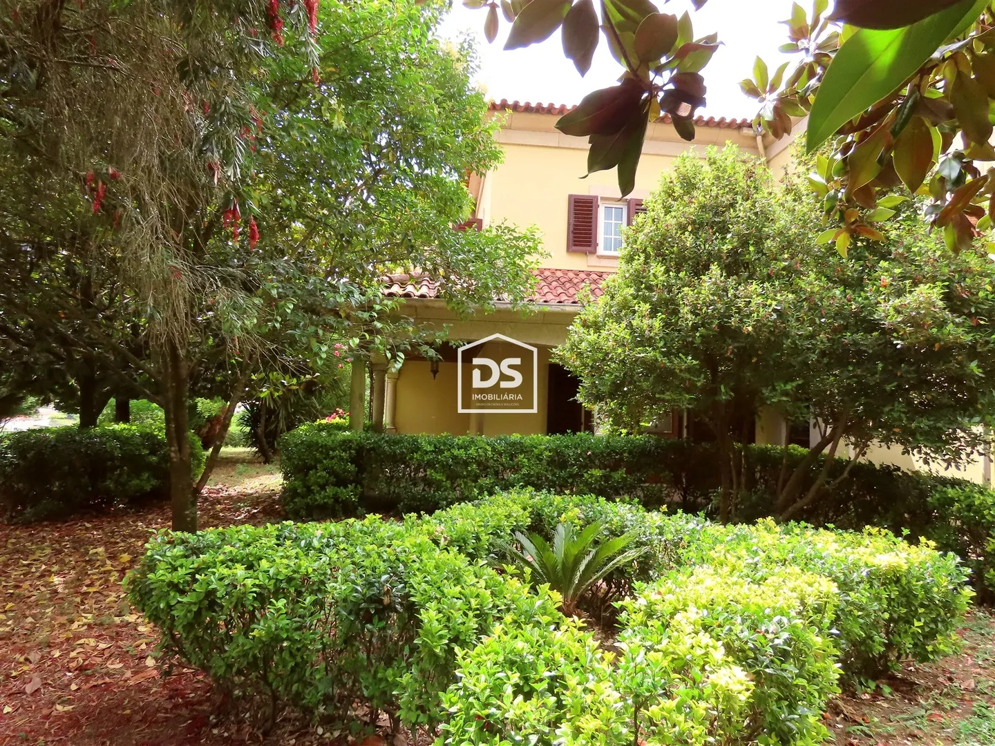 House T6