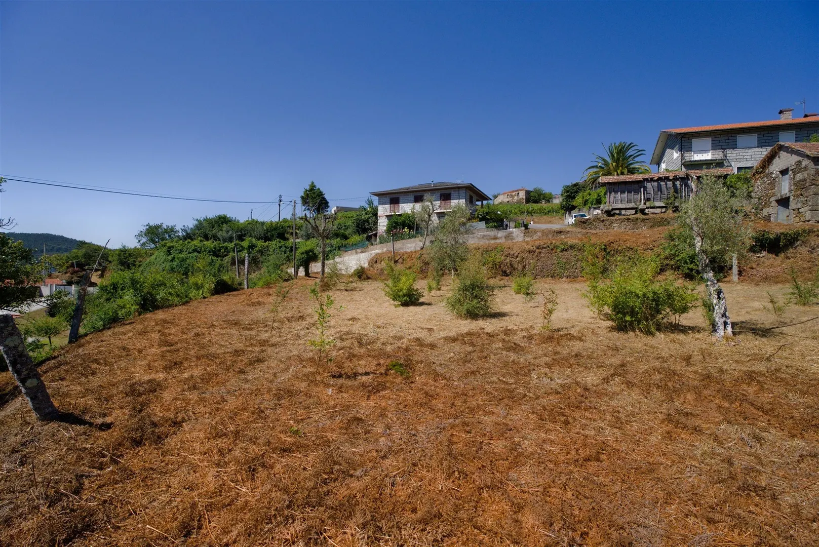 Terreno