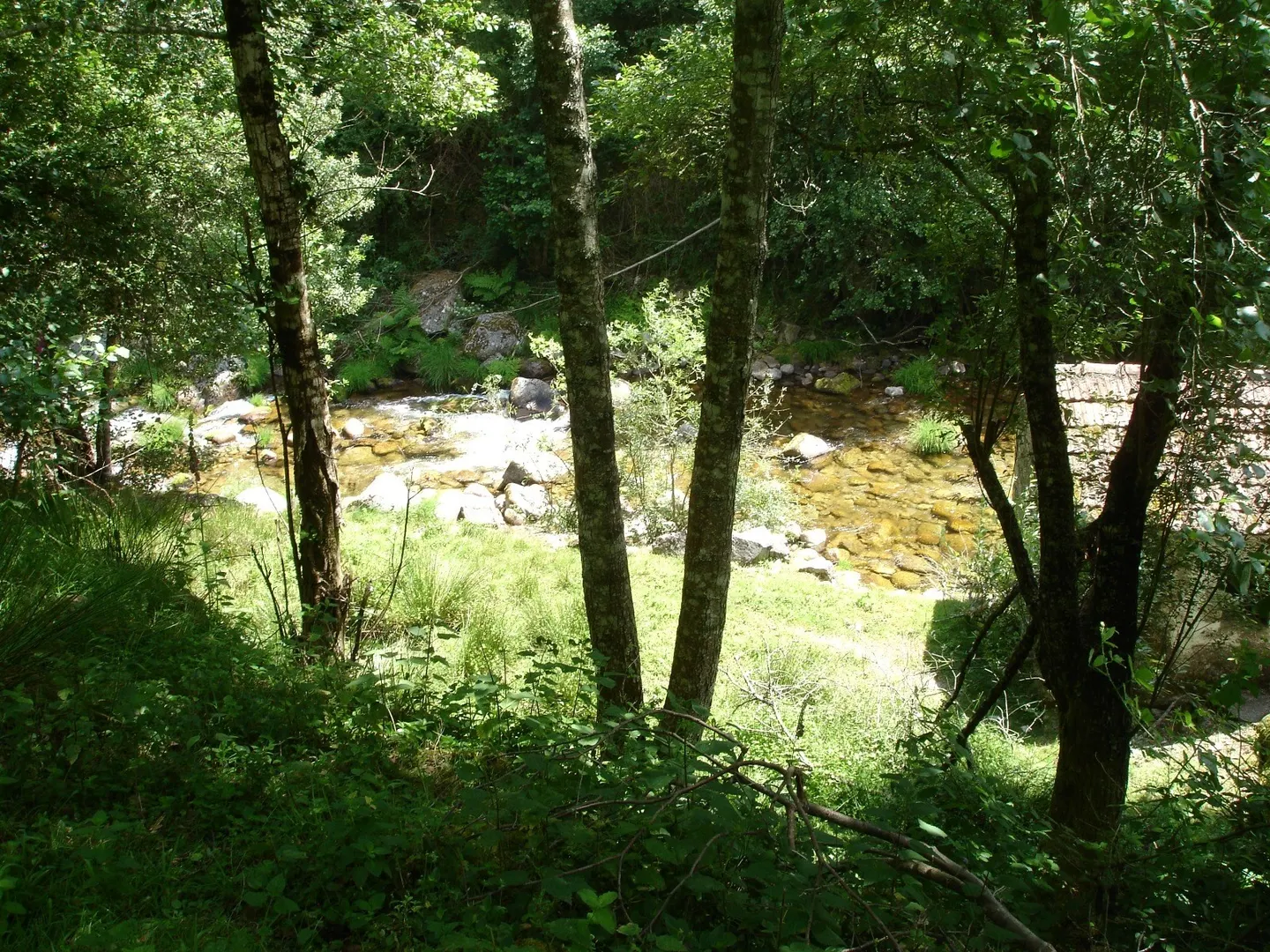 Quinta