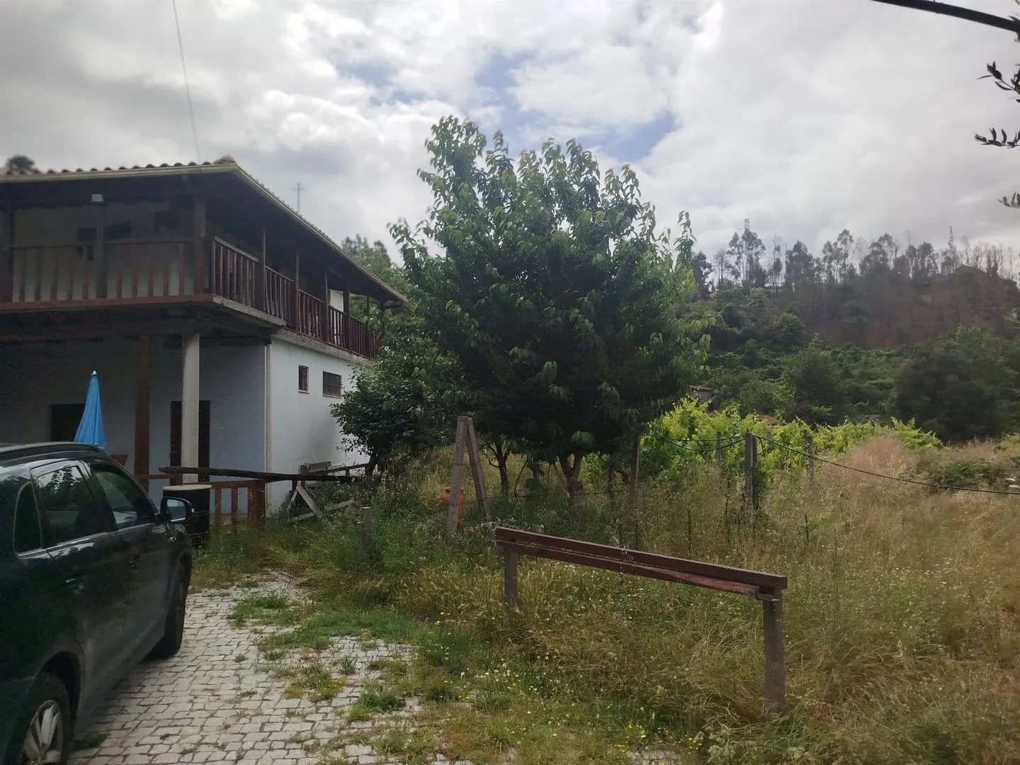Quinta