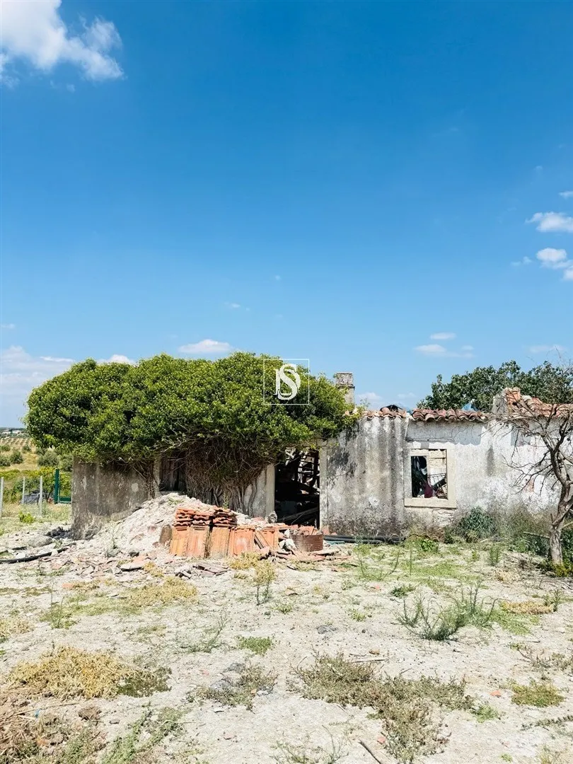 Real estate land